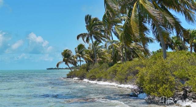 237 Acres Private Peninsular on Ambergris Caye With 6.5 Miles of Waterfrontage - North Cayo Frances