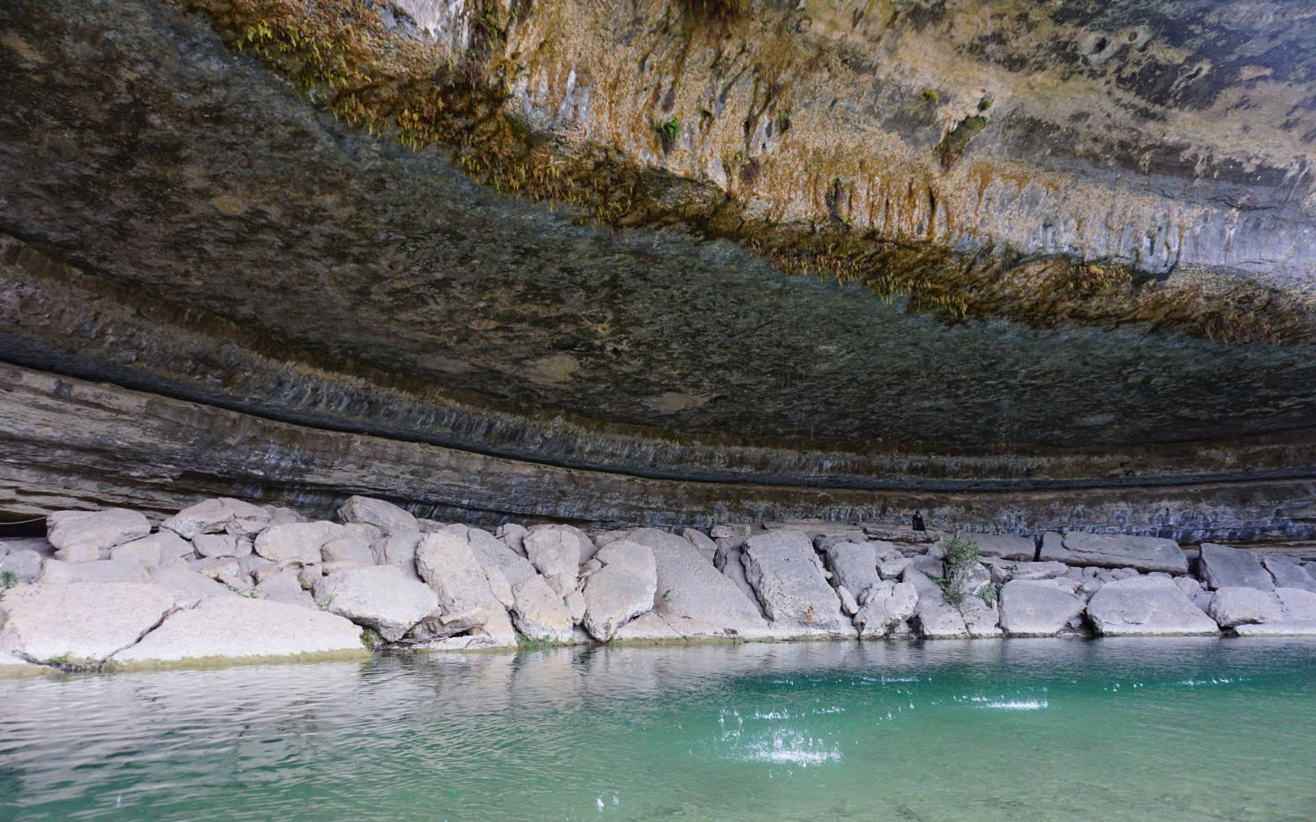 Bee Cave, TX Real Estate Megan DiBartolo