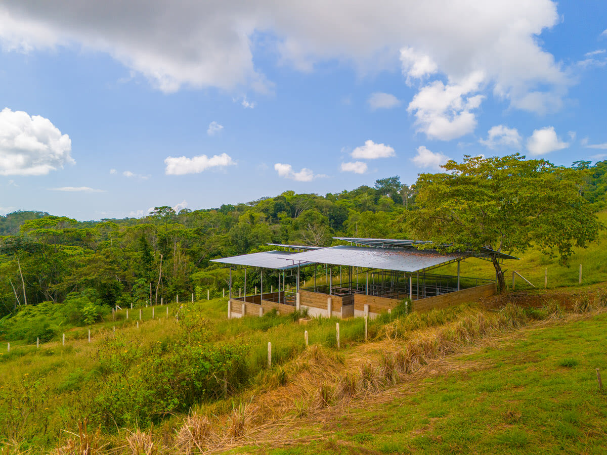 Oceanview Homestead for Sale, Tres Rios, Costa Rica