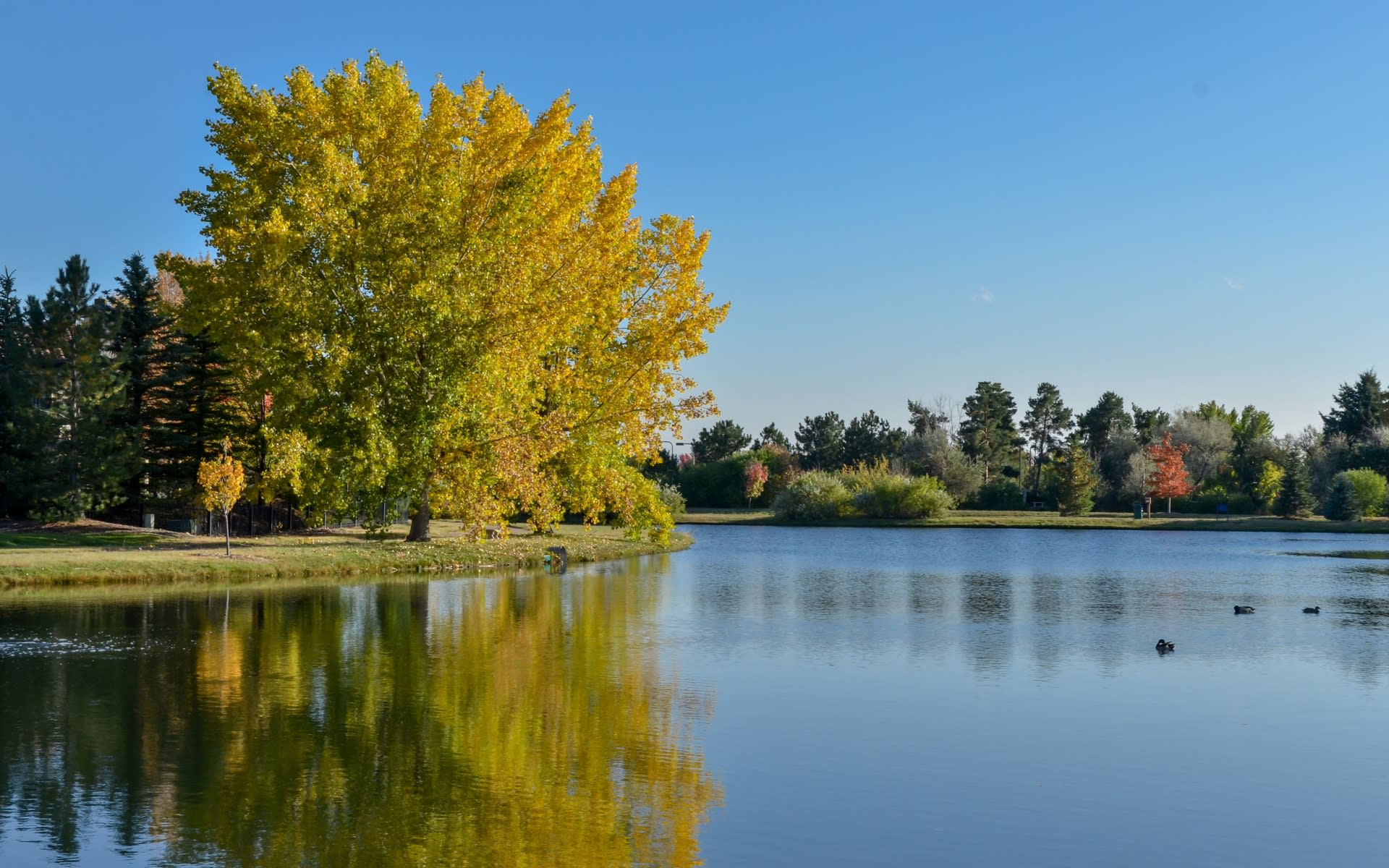 Cherry Hills, CO Real Estate & Homes for Sale