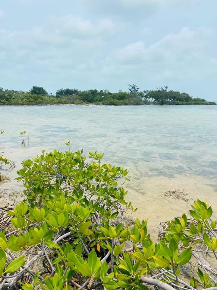 Panoramic waterfront lot on the coveted northeast end of Secret Beach Strip, Ambergris Caye, Belize