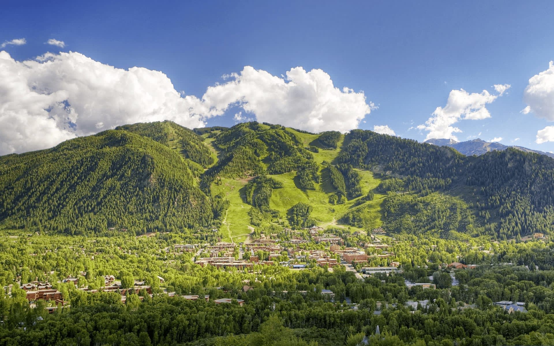 Lorrie Winnerman Aspen Real Estate Agent