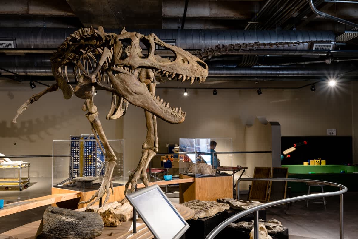 Local Love NEST Magazine