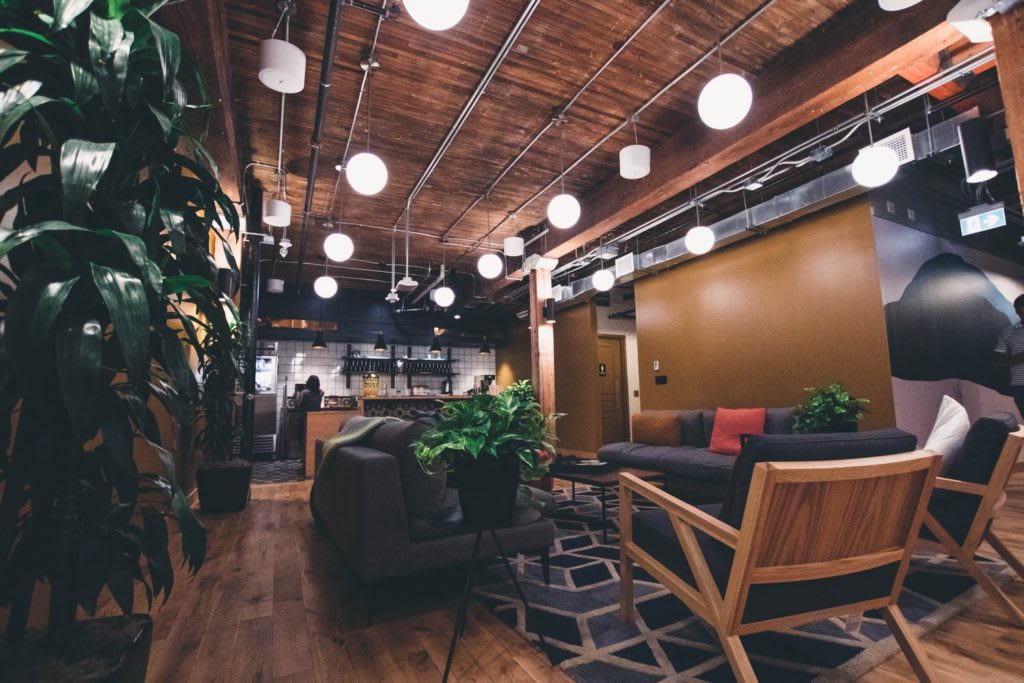 Office lounge with leafy plants, dark sofas, and an exposed wood ceiling.
