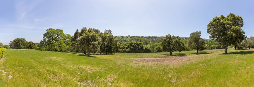 12 Arastradero Rd