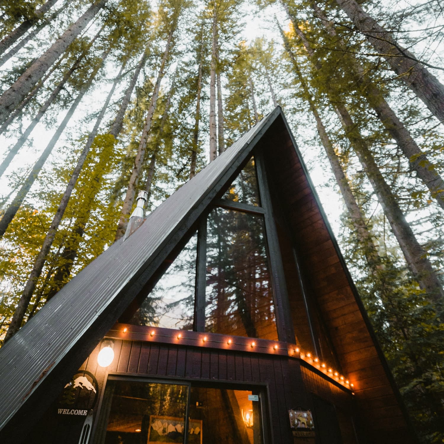 Suzanne Marina Jasso Sitka Real Estate Agent