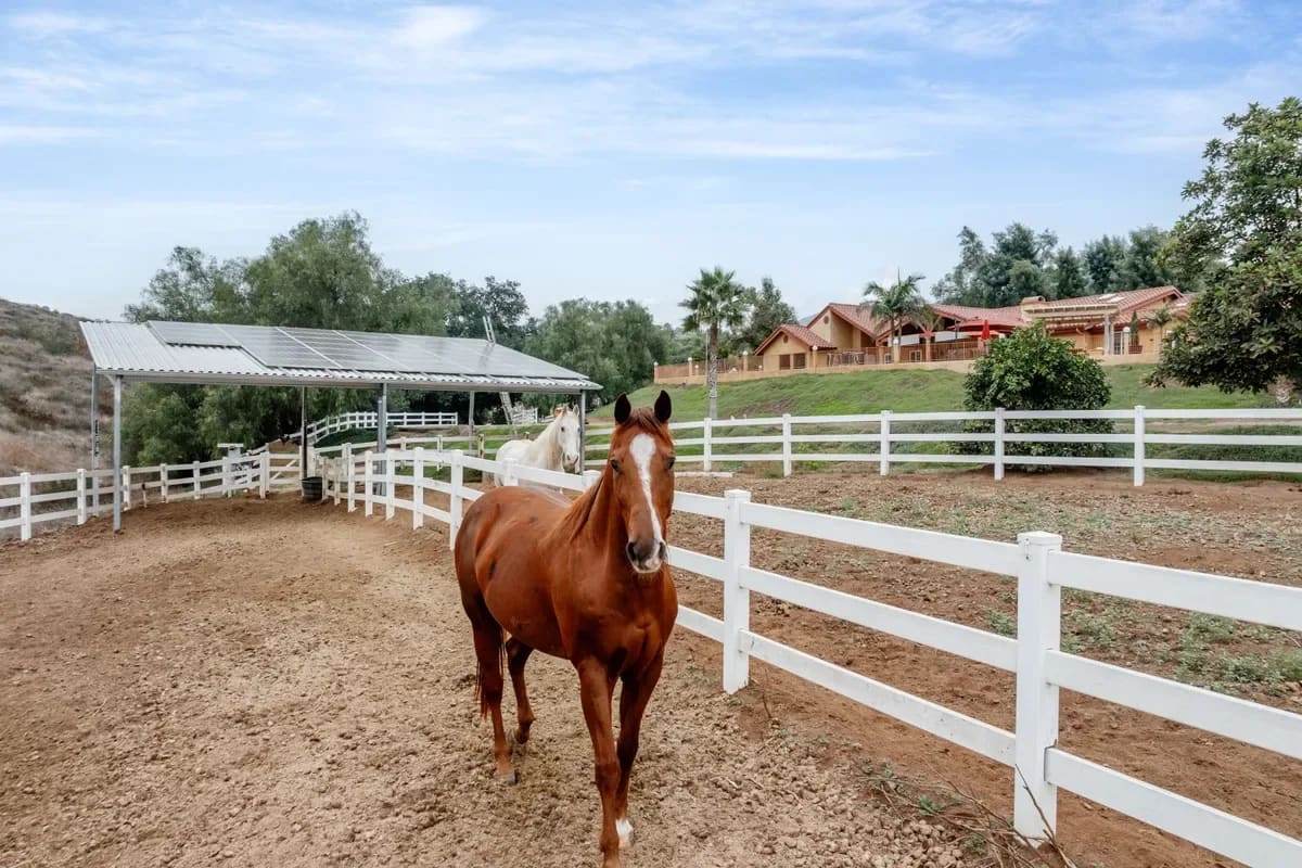  Rancho Jamul Estates