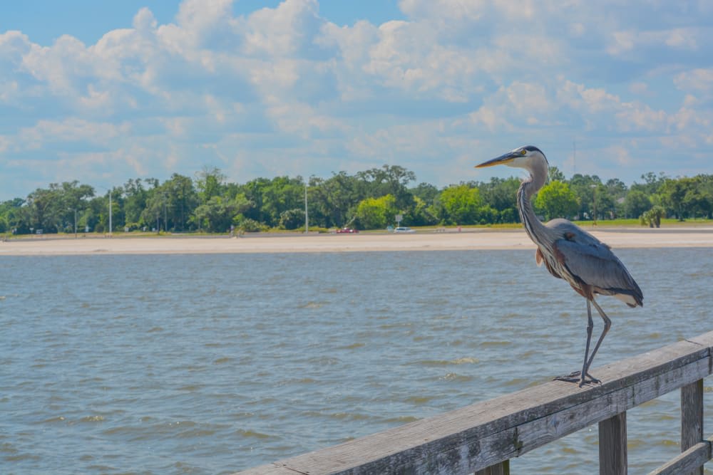 Gulfport