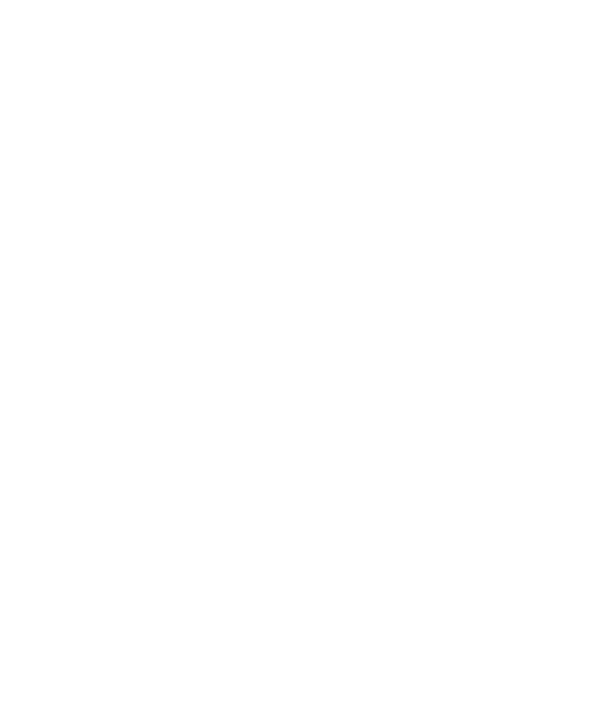 The Mitten Group Traverse City Real Estate Experts