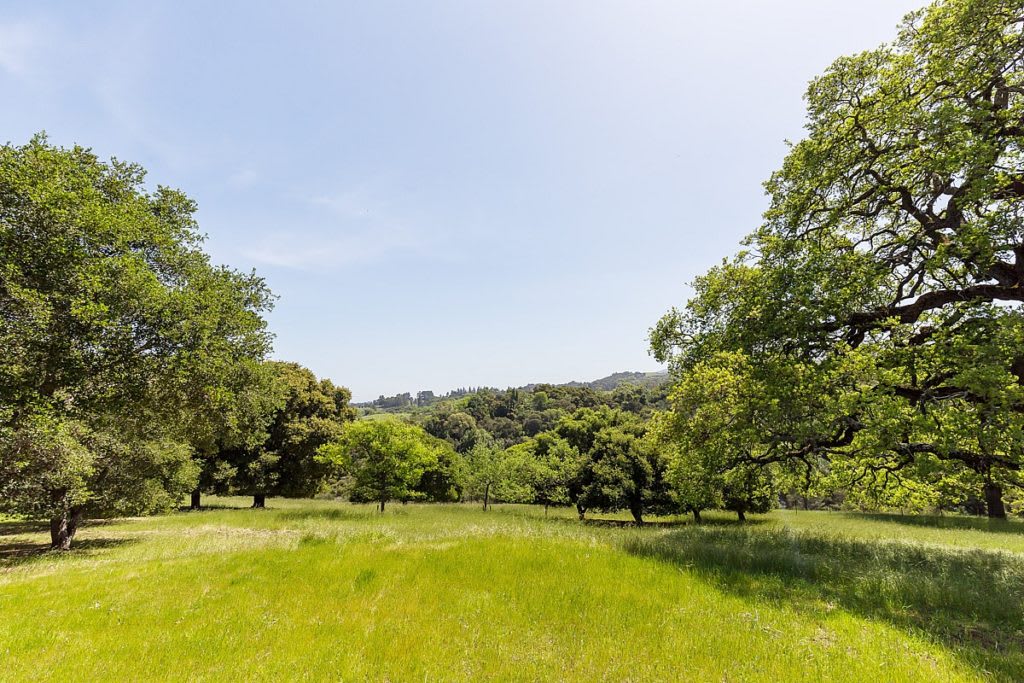 12 Arastradero Rd