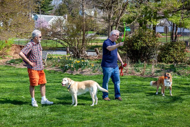 Best Dog Parks in Westchester