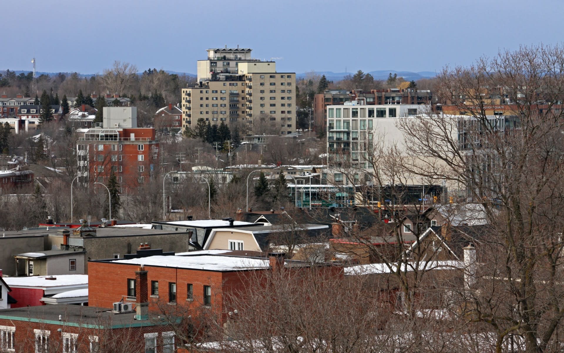 Lindenlea Homes for Sale Serge Papineau Real Estate