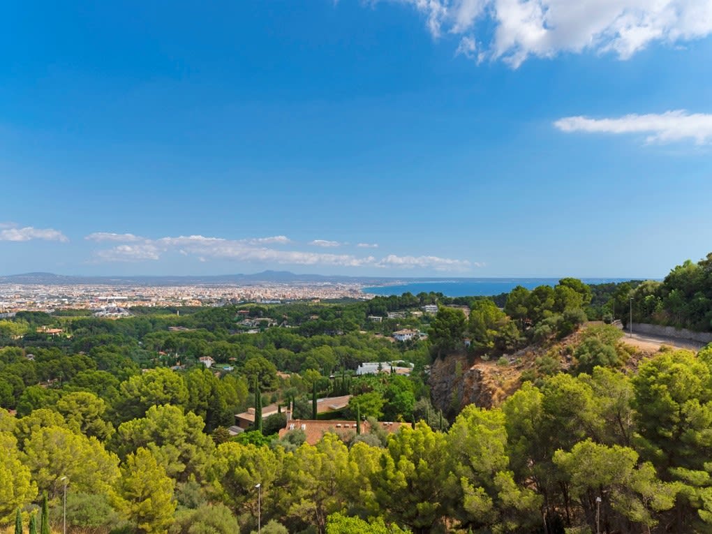 Son Vida: Palma De Mallorca