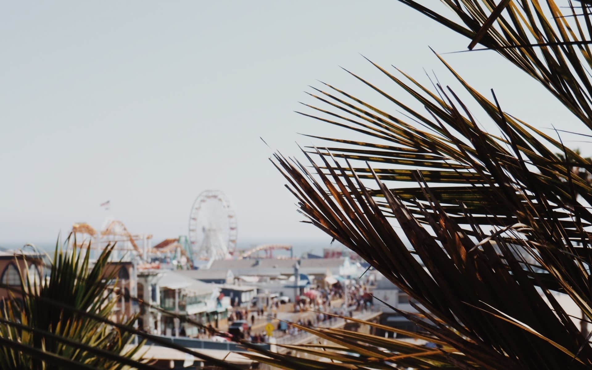 local-event-guide-san-francisco-real-estate-wilkerson-team