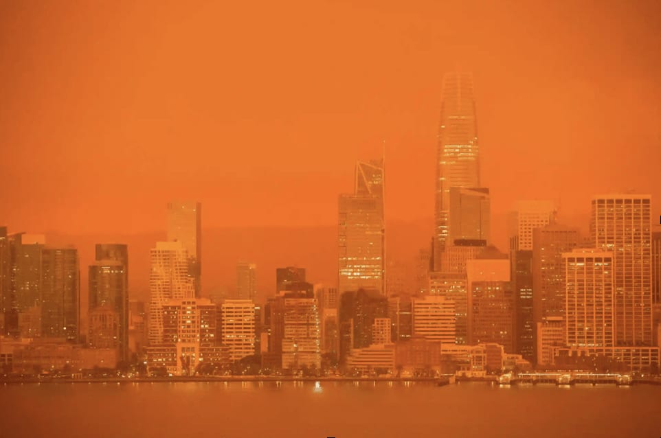 San Francisco skyline in a sea of orange.