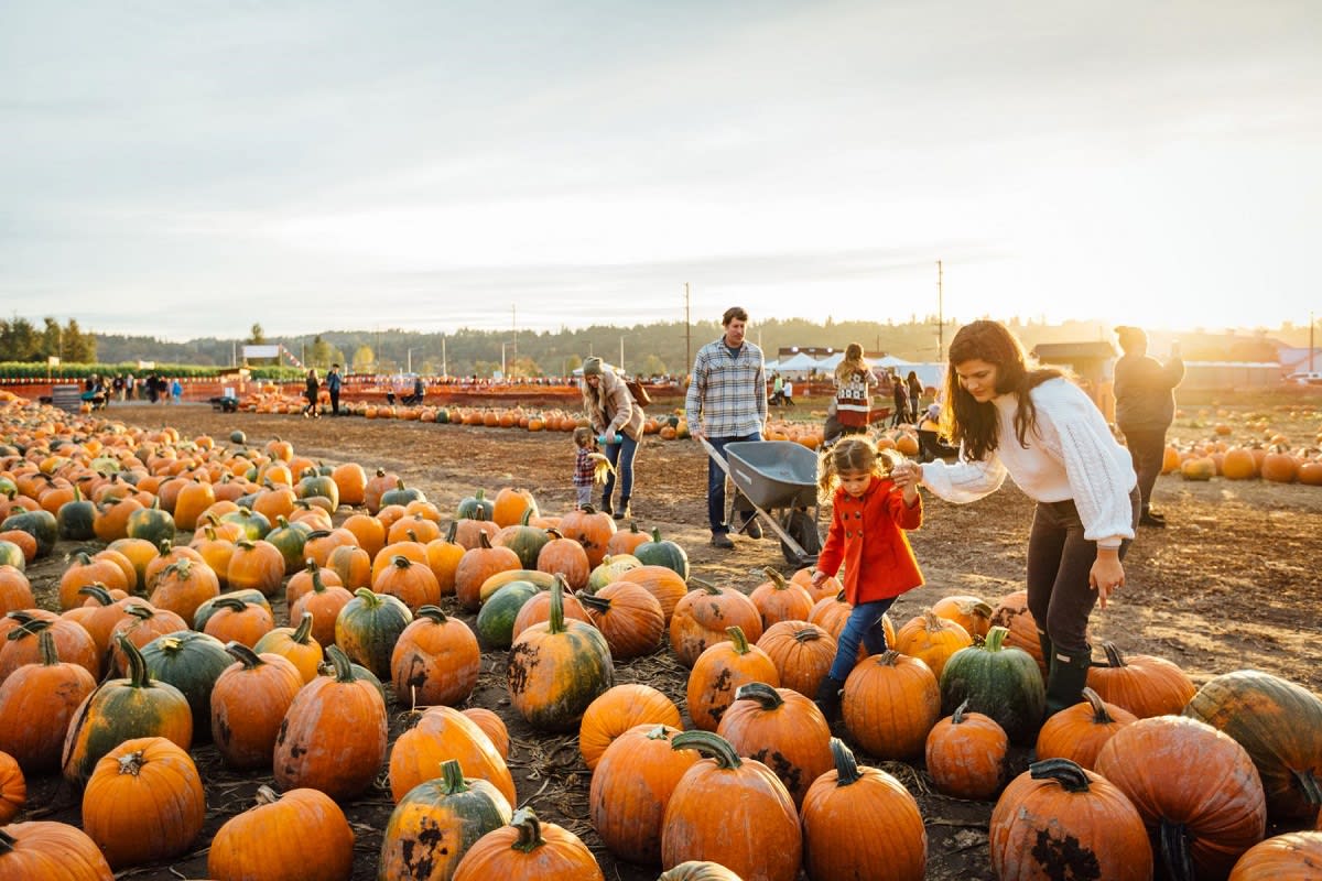 October 2022 San Diego County Pumpkin Patches