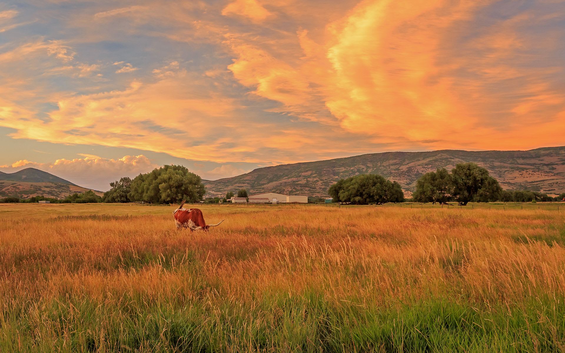 Llano County, TX Real Estate & Homes for Sale Land Masters Real Estate