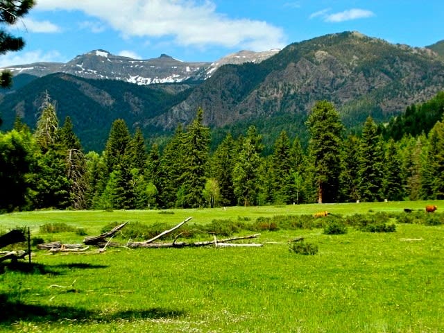 Southern Colorado Riverfront Mountain Ranch