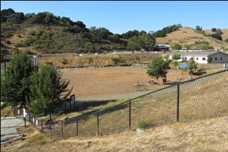 Red Hill Dog Park