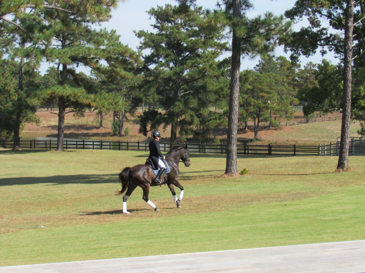 A rider on horseback in a scenic field, capturing the essence of peaceful countryside living.