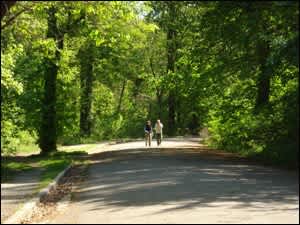 Overton Park