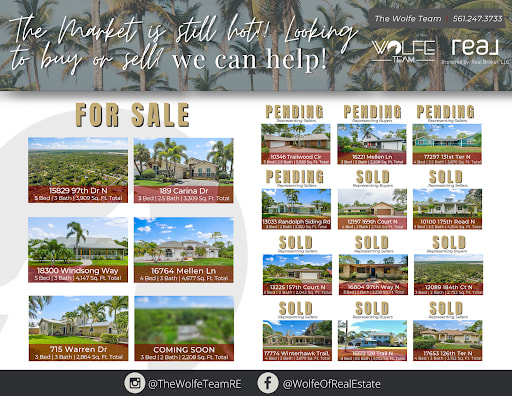 Wolfe Team real estate mailer with property listings marked for sale, pending, sold, and coming soon.