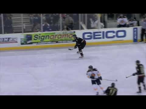 Luke Sandler 2017-2018 ECHL Highlight Video