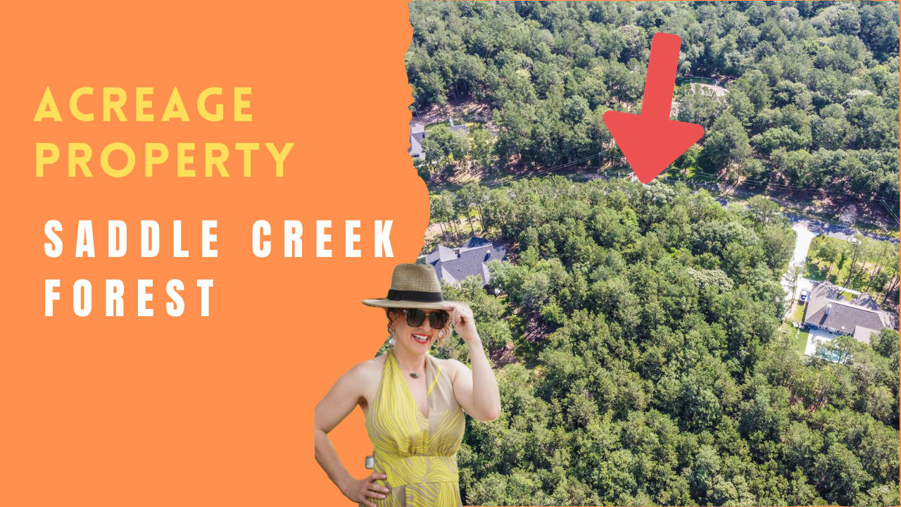 Saddle Creek Forest neighborhood tour