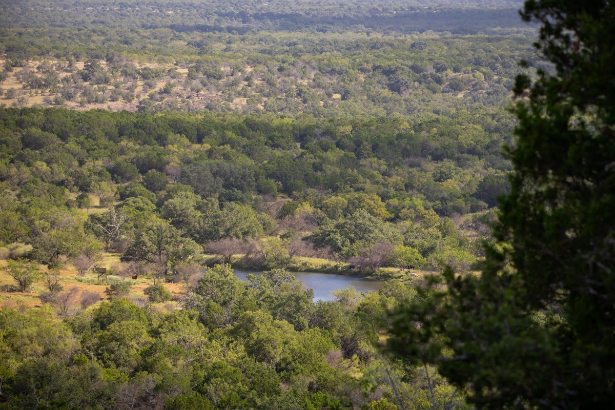 Packsaddle Ranch