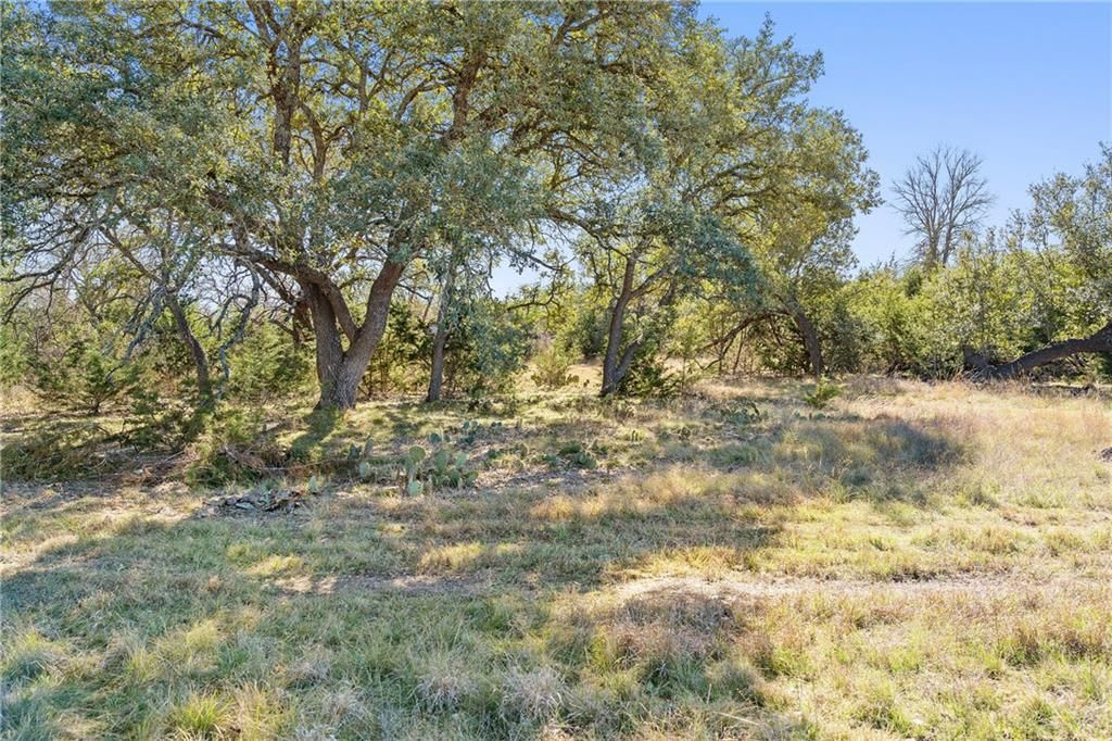 475 WINDMILL | 91 ACRES