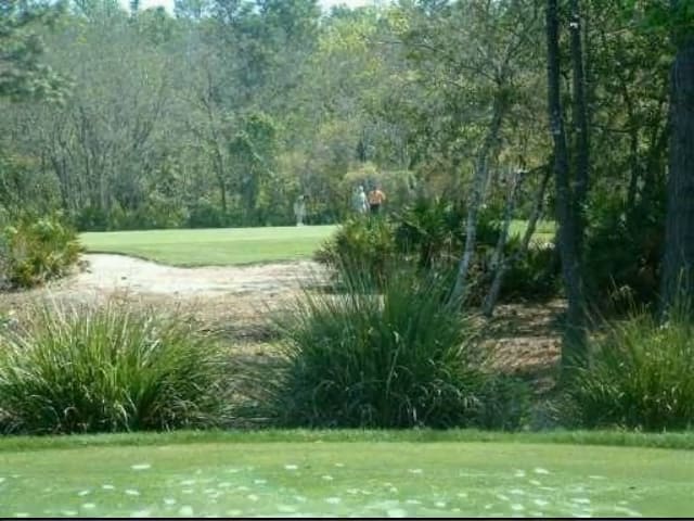 Homes for Sale - Pawnee Trail, Kissimmee, FL