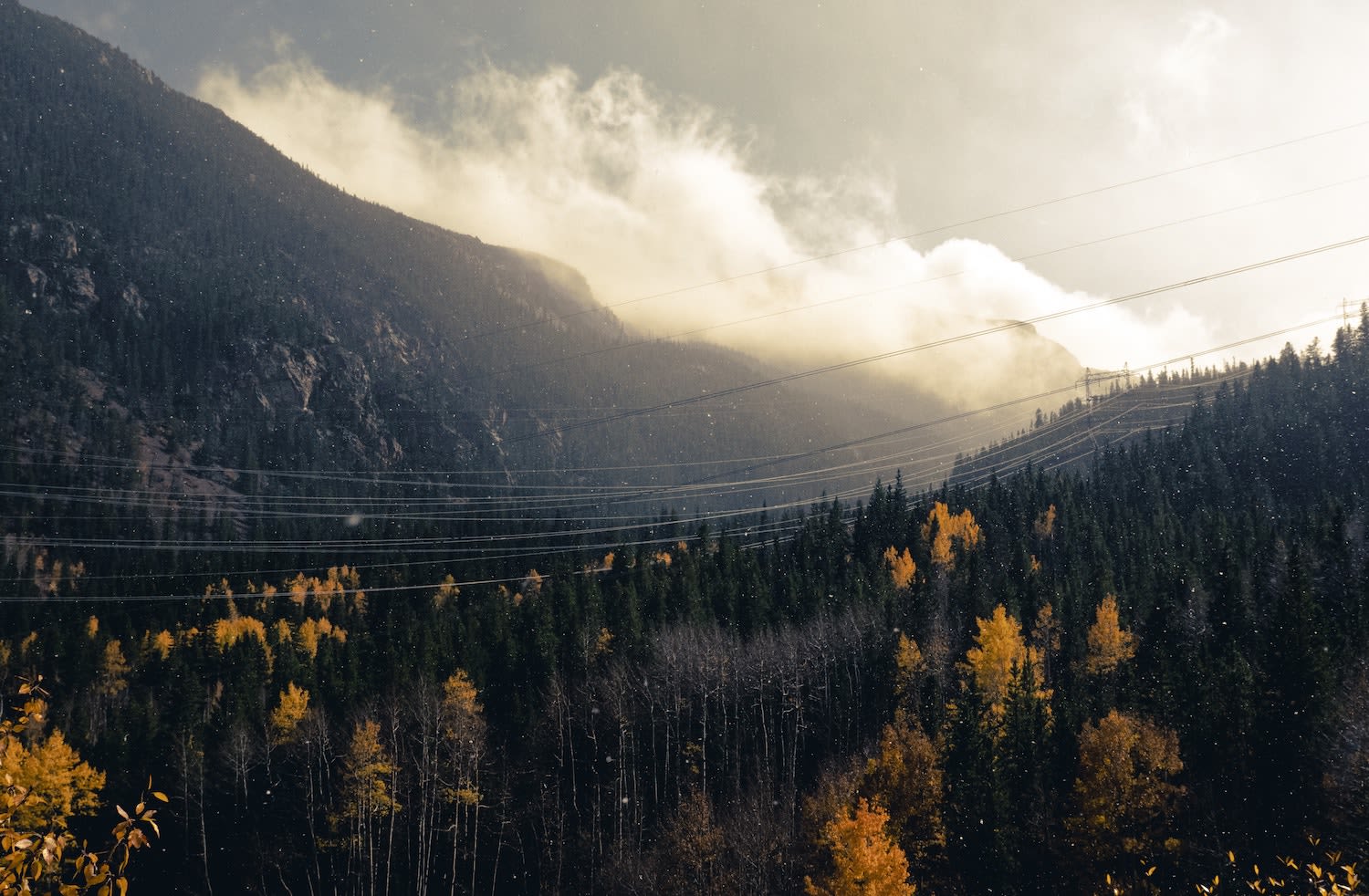 Colorado Fall Drives Guanella Pass