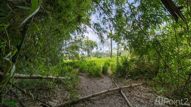 Over 8400 Feet of Stunning River Frontage on the Historic Landmark Sibun River