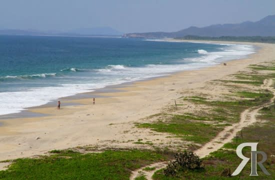 VIVO - Puerto Escondido