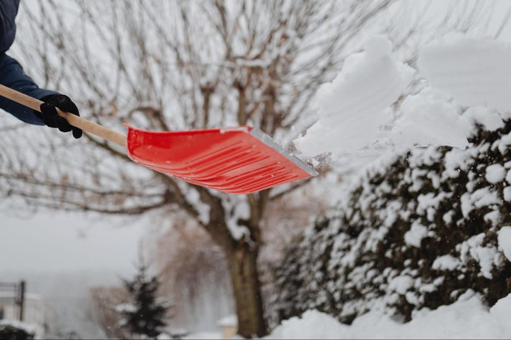 A person shoveling snow with a red shovel in a snowy landscape, featuring bare trees in the background.