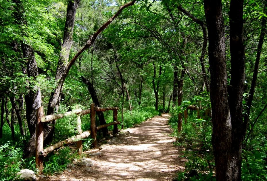 The Best Hiking Trails and Spots in Austin