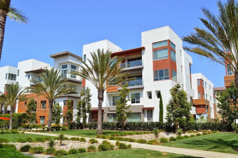 Condominiums or condos