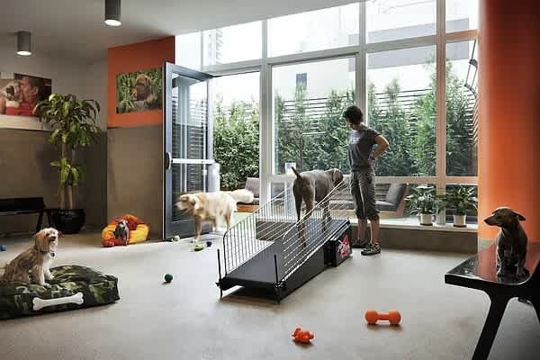 MiMA Related Rentals