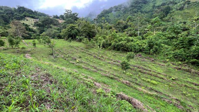 Riverfront Ranch Above Uvita With Waterfalls, and Ocean Views