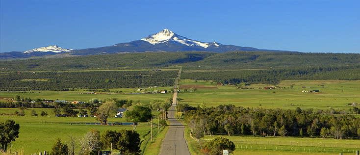 Norwood Neighborhood Guide