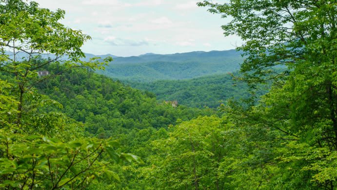 Sutton Knob