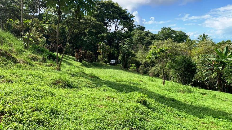 Ocean View Property with a Prime Location and Legal Water in Escaleras Dominical