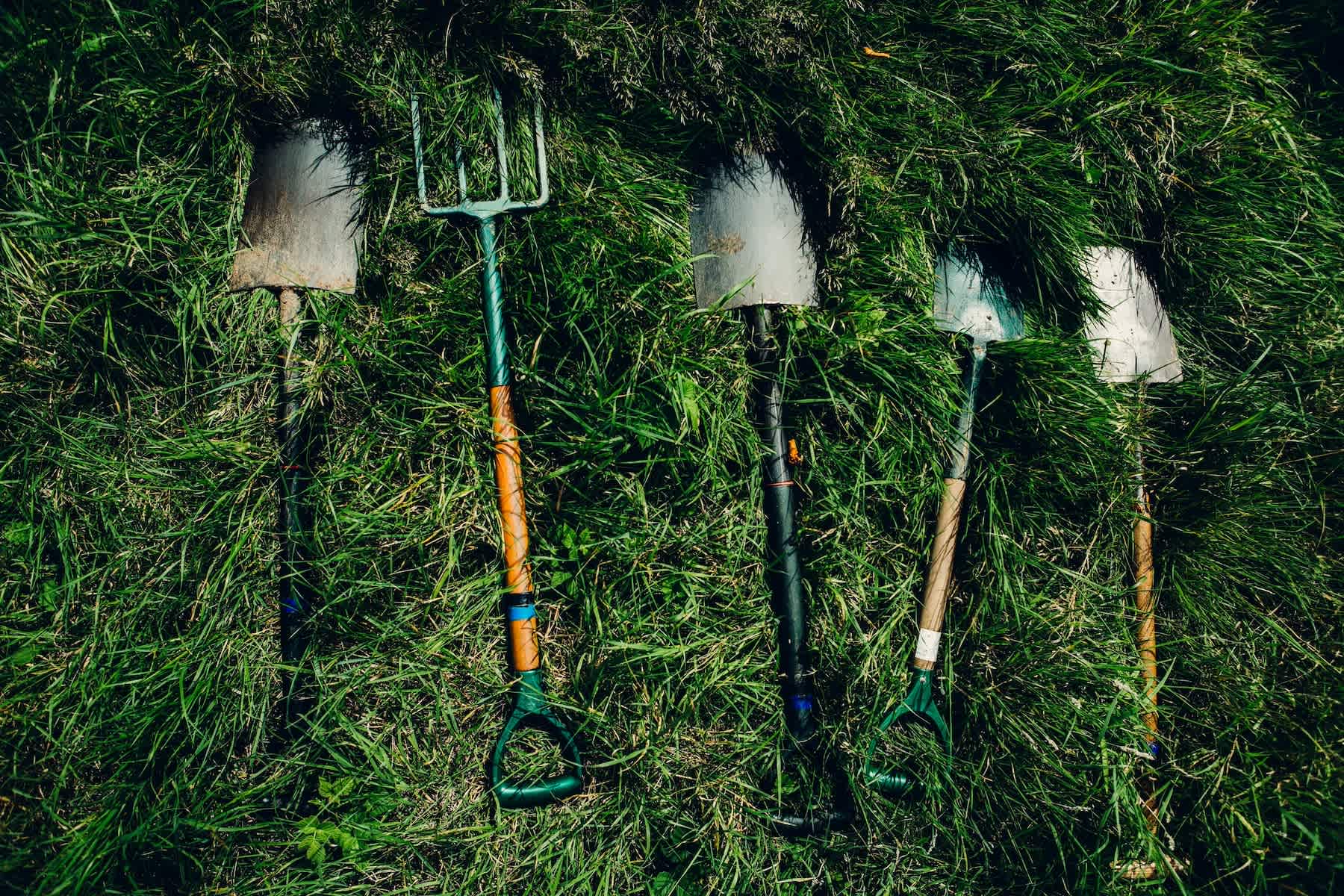 Colorado Garden Care, Fall Winter