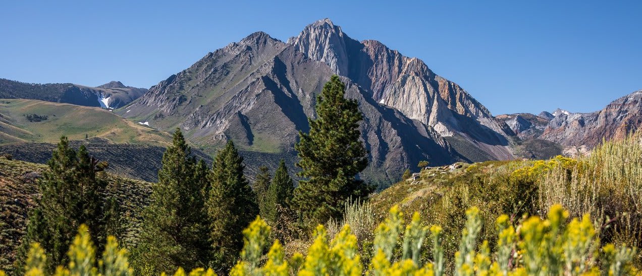 market update, Sonja Bush, Destination Mammoth, Destination Real Estate