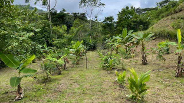 Riverfront Ranch Above Uvita With Waterfalls, and Ocean Views