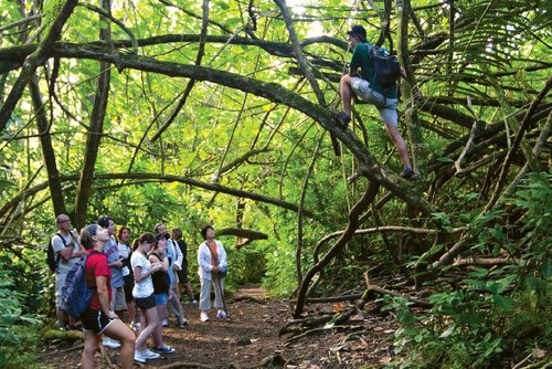 Hawaii Magazine article on Mānoa Valley