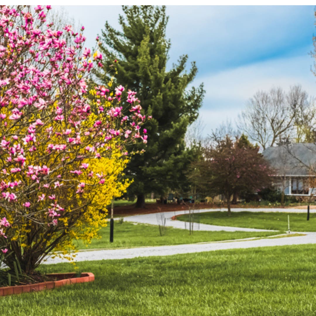 The Essentials of Curb Appeal in New England Spring: A Comprehensive Guide