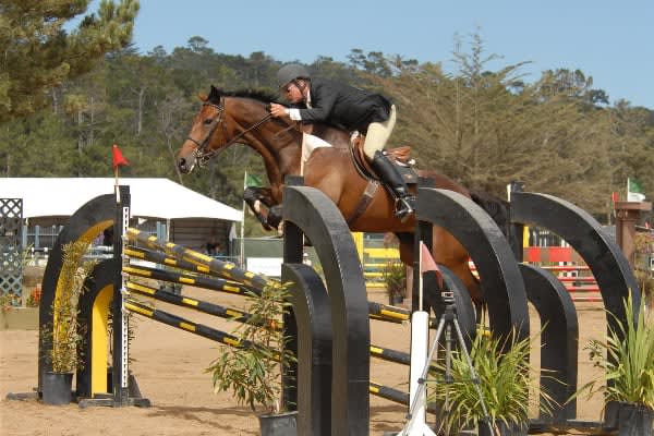 Rider and brown horse clearing a black-and-yellow show-jumping obstacle in an outdoor arena.