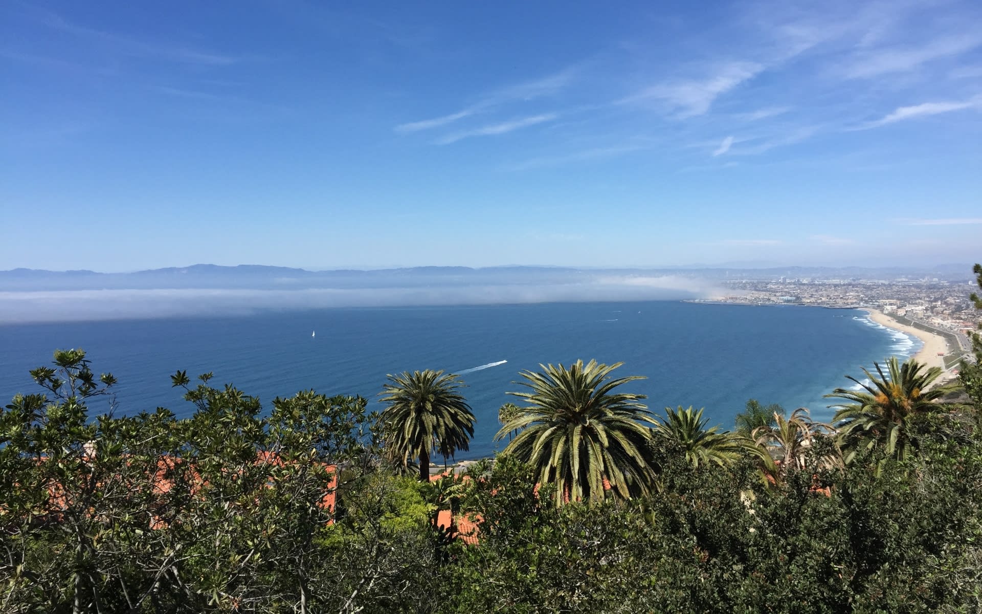 Your South Bay Realtors Redondo Beach Real Estate Agents