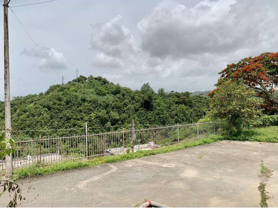 TOA ALTA HACIENDA CORALIS, QUEBRADA CRUZ NEIGHBORHOOD,